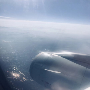 非洲人与性动交ccoo高清毛茸茸
